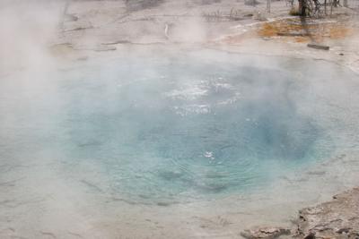 Geyser-World-Color.jpg