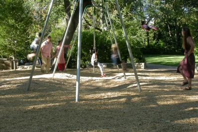 Kids on a Swing