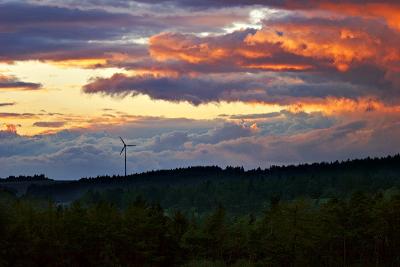 Herbststimmungen