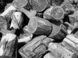 The Wood Pile<br><br><br>