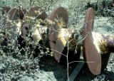 Jumbo Coring Bit<br><br><br>