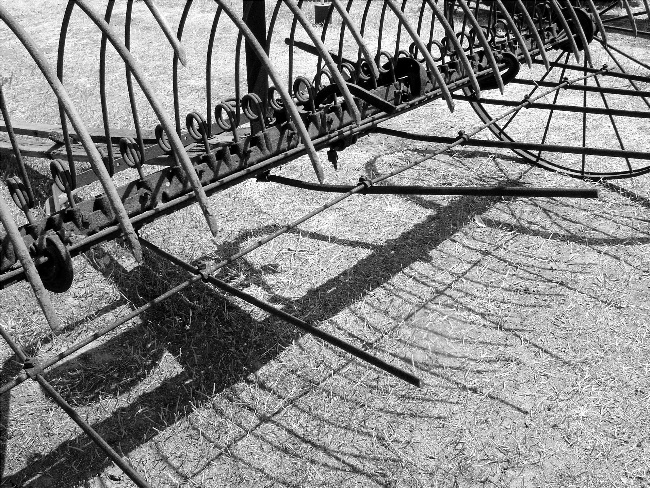 Tines Over Shadows