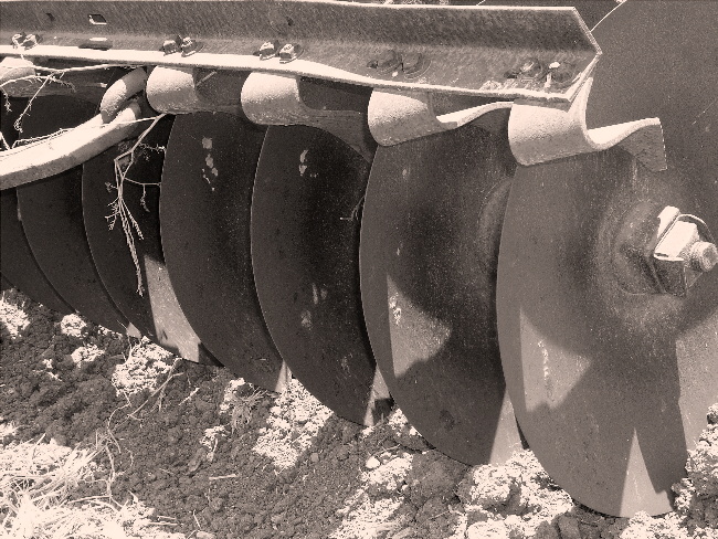 Cutting Edge<br>