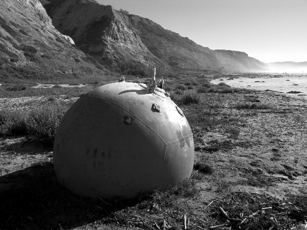 Torrey Pines Reserve