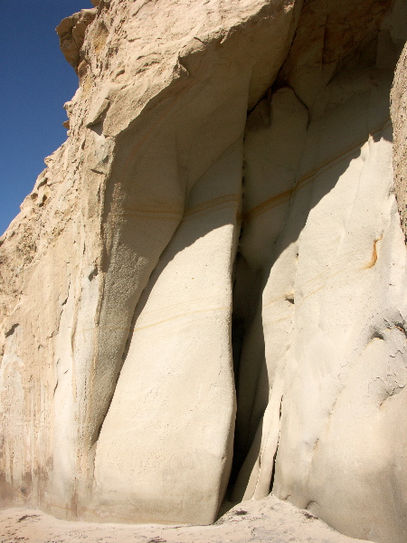Torrey Pines Reserve