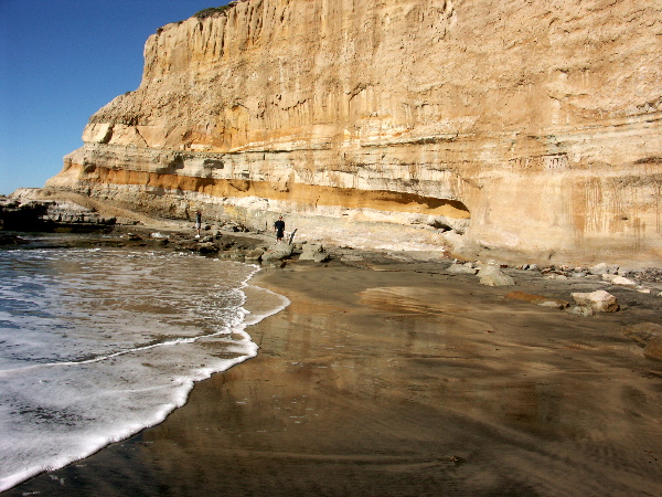 Torrey Pines Reserve