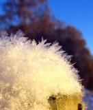 Ice Crystals