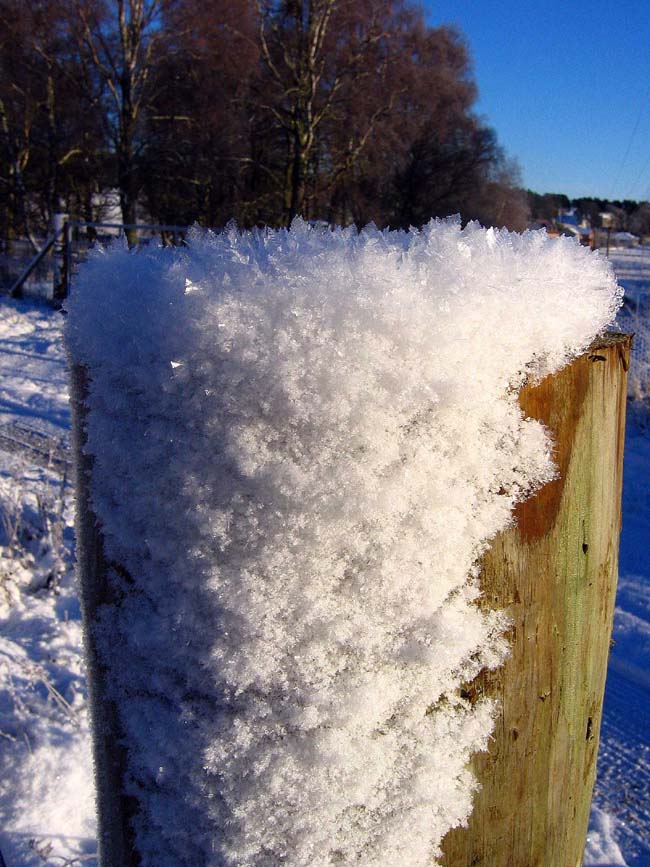 Winter Fence Post
