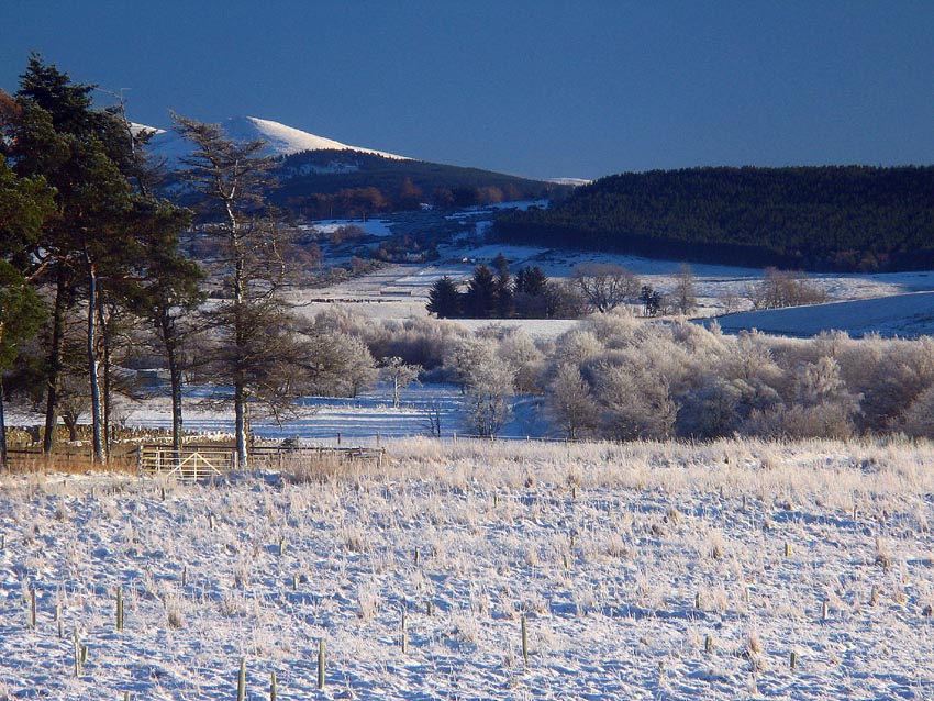 Winter scene from the front door