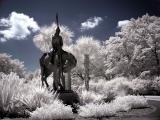 Brookgreen Gardens infrared 5