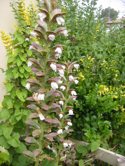 132-3240_IMG.JPG
