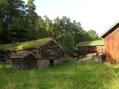 Grass roof homes and village outbuildings