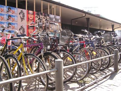 Bikes Everywhere!
