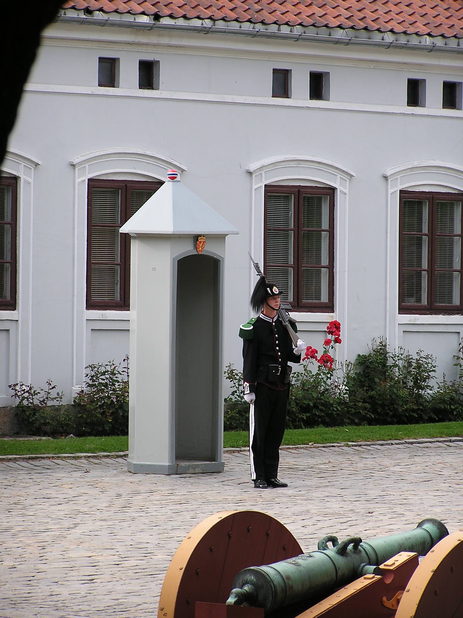 Guarding the palace