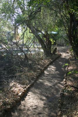 Mashatu - The path from the tent towards the common areas