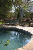 Mashatu - The pool