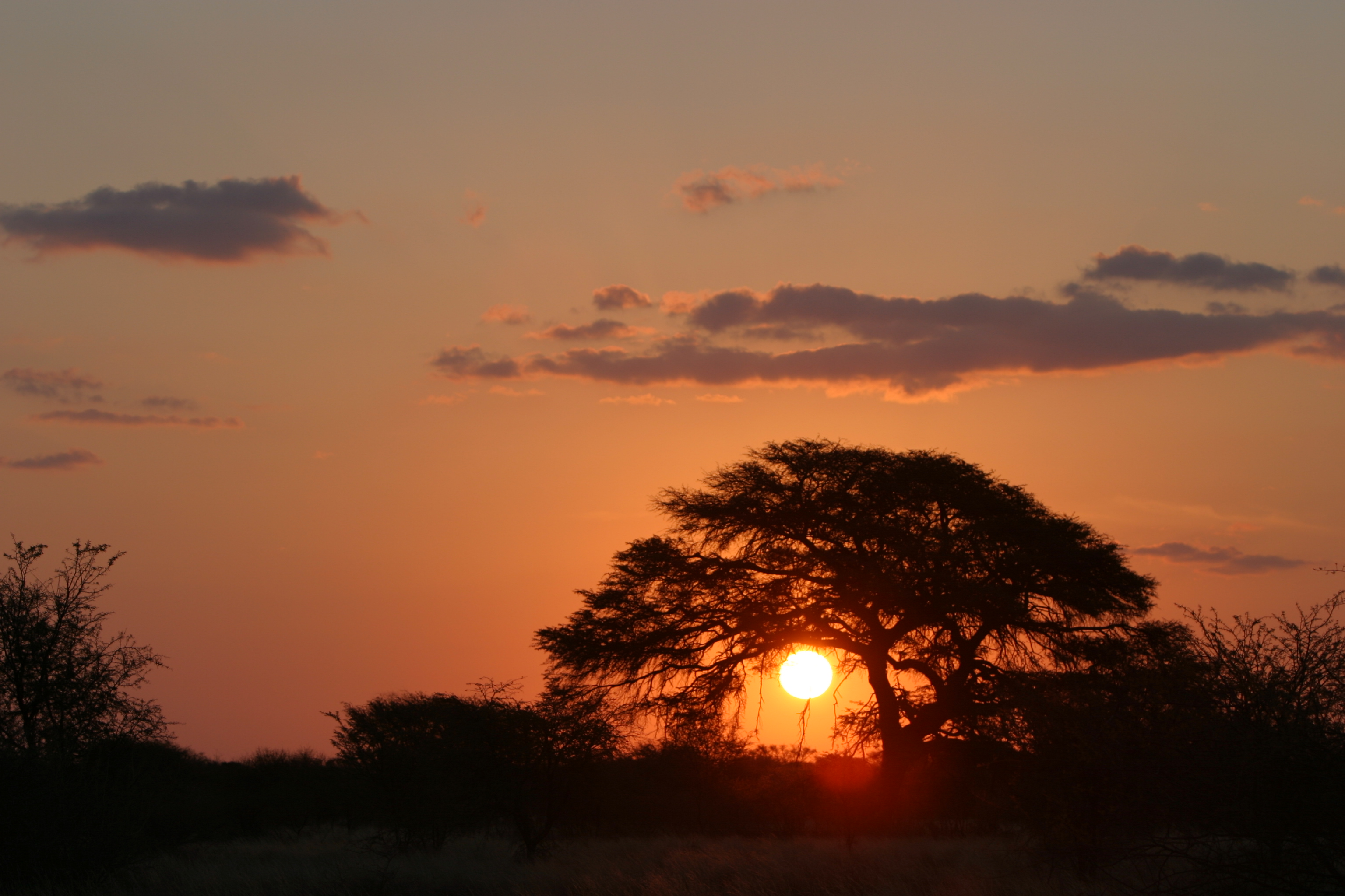 Time for a sundowner.