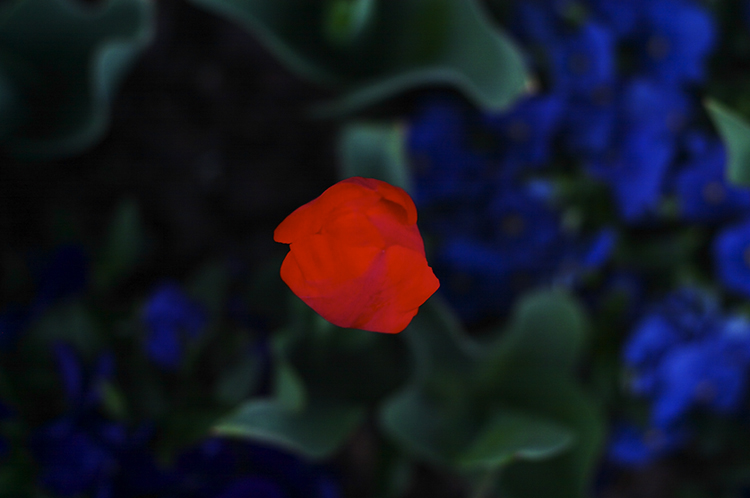 Standing alone