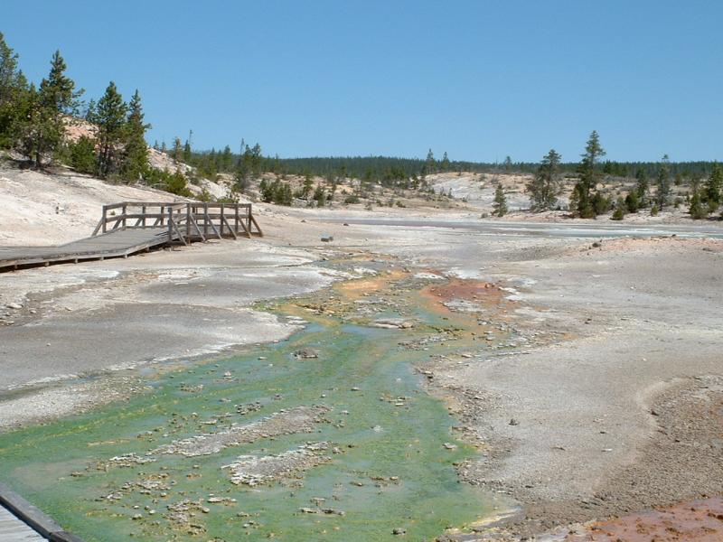 Norris Geyser Basin (2)