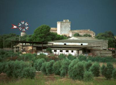 September 5: Mallorcan Farmstead