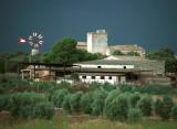 September 5: Mallorcan Farmstead