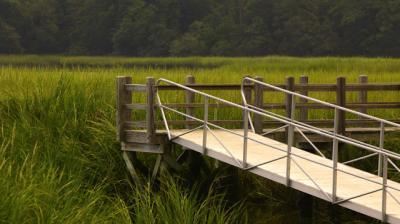 Marsh Walk at I'ON