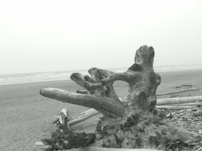 100_0092_1.JPG
