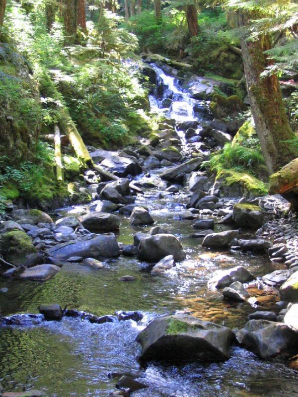 river.JPG