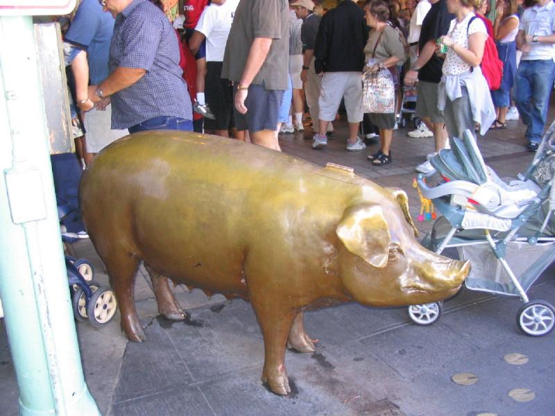 pig 1.JPG