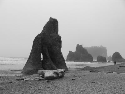 怪石和漂木的完美结合,就是ruby beach 了。它在浓雾中肃穆的迎接COD