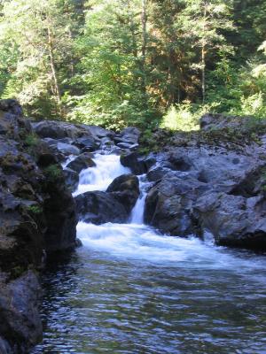 去独鸭谷的路上,此地叫salmon cascade 难道硅鱼真的顺流而下,老天,那我愿在此作熊。