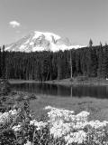 100_0051_1.JPG