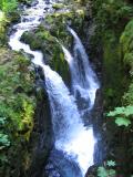 sol duc.JPG