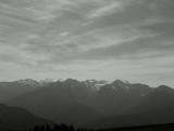 hurricane ridge.JPG