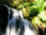 102_0264_1.JPG