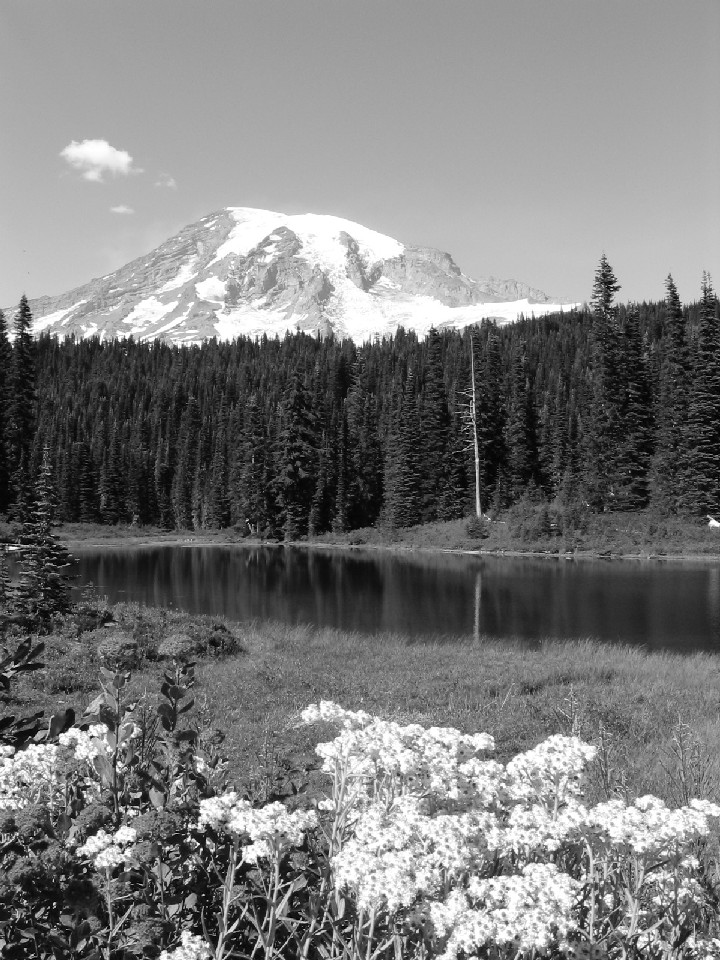 100_0051_1.JPG