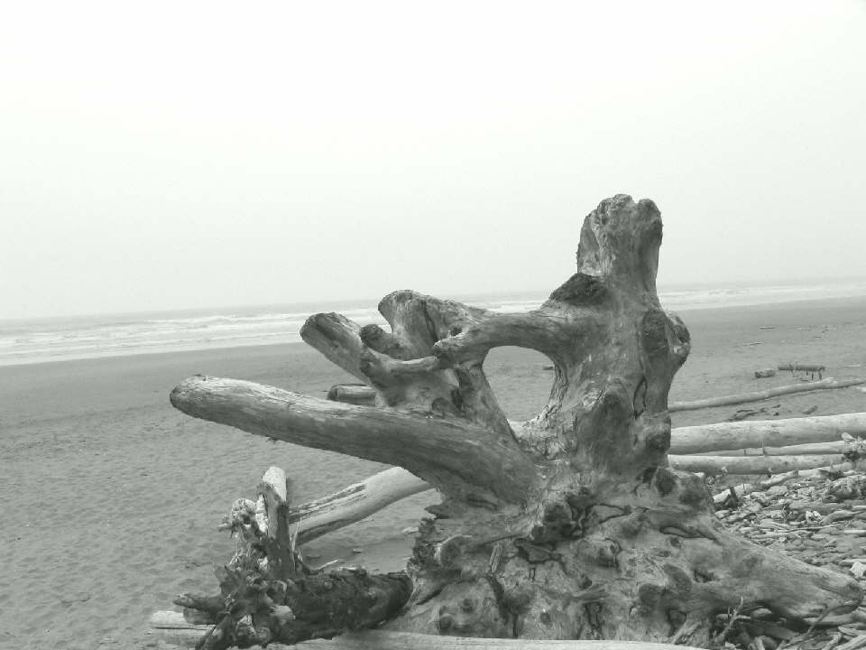 100_0092_1.JPG