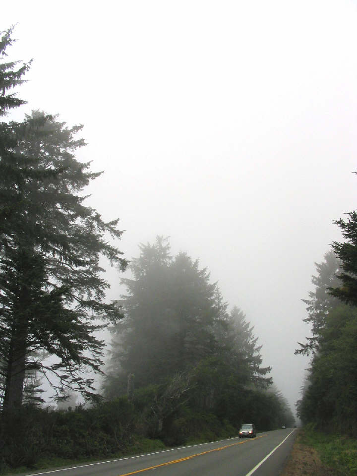 fog from the sea.JPG