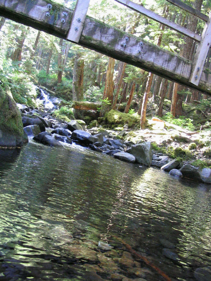 one-wood-bridge.JPG