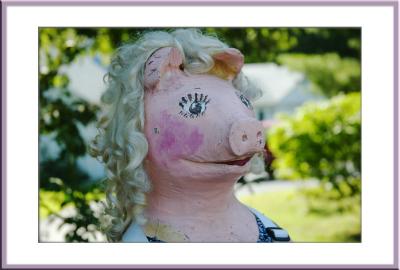 Meet Miss 'Mailhandler Extraordinaire' Piggy--Ain't she somethin?
