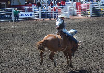 DSC_1455.jpg