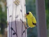DSC05189_2.JPG