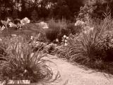 DSC05251.JPG