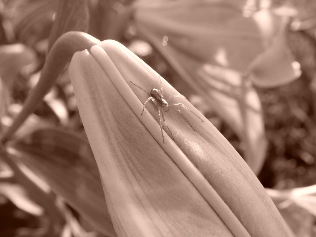 DSC05280.JPG
