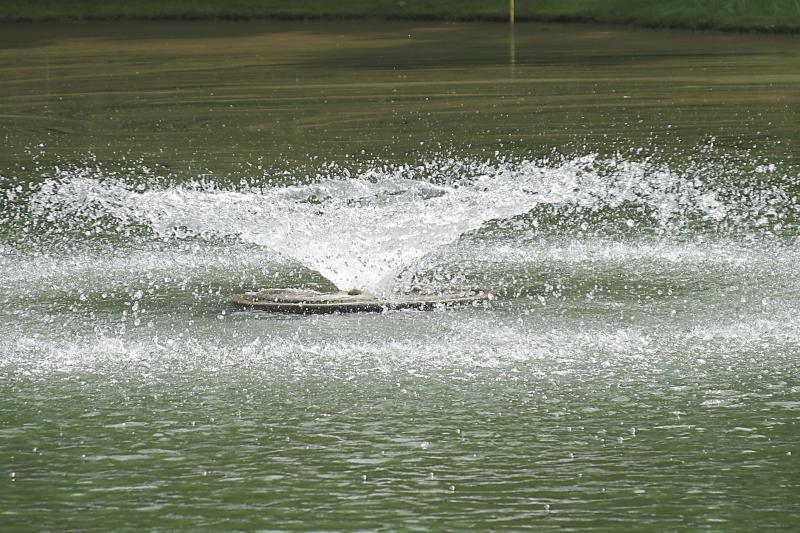 Water Spray