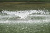 Water Spray