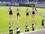 Navy Cheerleaders