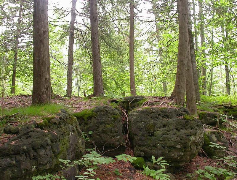 limestone-ridge.jpg