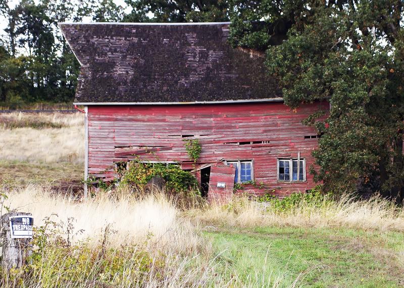 The Lonely Barn