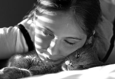 New Cat: In Love with Cosmo